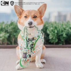 Dog Waste Bag Holder - The Powerpuff Girls™ (Green) 27 Dog Waste Bag Holder - The Powerpuff Girls™ (Green) -Furfinity Cheap Shop THECORGITATO PPG 10 a16cd47d 0730 49b1 ac29 65f52e7d7d9e