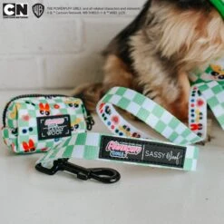 Dog Waste Bag Holder - The Powerpuff Girls™ (Green) 20 Dog Waste Bag Holder - The Powerpuff Girls™ (Green) -Furfinity Cheap Shop THEMINTATERTOT PPG 8