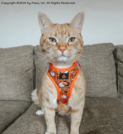 Cat Step-In Harness - Garfield™️ -Furfinity Cheap Shop THEOFFICIALTACOSQUAD 2