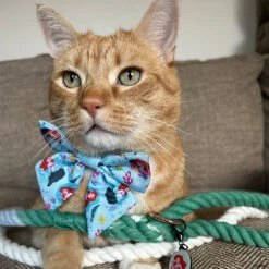 Dog Rope Leash - Disney's Ariel -Furfinity Cheap Shop THEOFFICIALTACOSQUAD 2 7455fd22 c8b9 4101 afbd efe16a6d00db