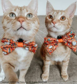 Dog Sailor Bow - Garfield™ -Furfinity Cheap Shop THEOFFICIALTACOSQUAD 3