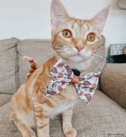 Dog Sailor Bow - STAR WARS™ The Rebel Alliance -Furfinity Cheap Shop THEOFFICIALTACOSQUAD 3 74587be5 8fdb 4017 8580 a14128c8bb05