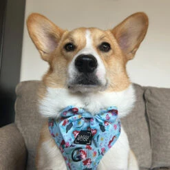 Dog Two Piece Bundle - Disney's Ariel -Furfinity Cheap Shop THEOFFICIALTACOSQUAD 3 b4507f51 9177 4f9e 8b58 92016aaf7504