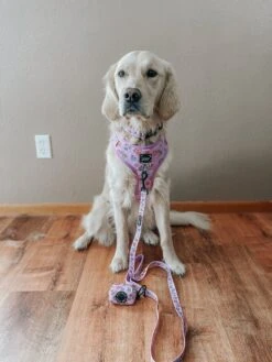 Dog Waste Bag Holder - Tea Pawty -Furfinity Cheap Shop THE GOLDEN GIRL ELLIE 1 9980d572 561b 4dd1 ba96 f50ce480af6b