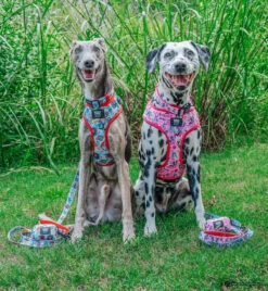 Dog Waste Bag Holder - Looney Tunes™ Pink -Furfinity Cheap Shop THE HERO DOGS 6 457668d2 8ccb 4351 9af2 311d0f7a9979