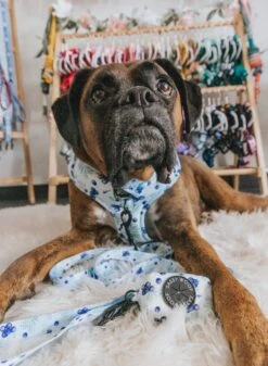 Dog Waste Bag Holder - Berry Sassy -Furfinity Cheap Shop THOR e14a829a c070 4f1e b216 d07a627784a4