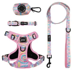 Dog Four Piece Bundle - Good Vibes