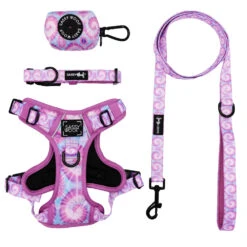 Dog Four Piece Bundle - Purple Haze