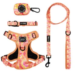 Dog Four Piece Bundle - Summer Sorbet