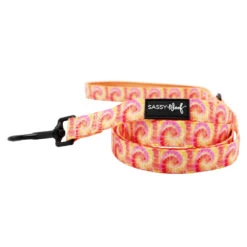 Dog Four Piece Bundle - Summer Sorbet -Furfinity Cheap Shop TIE DYE SUMMER SORBET LEASH