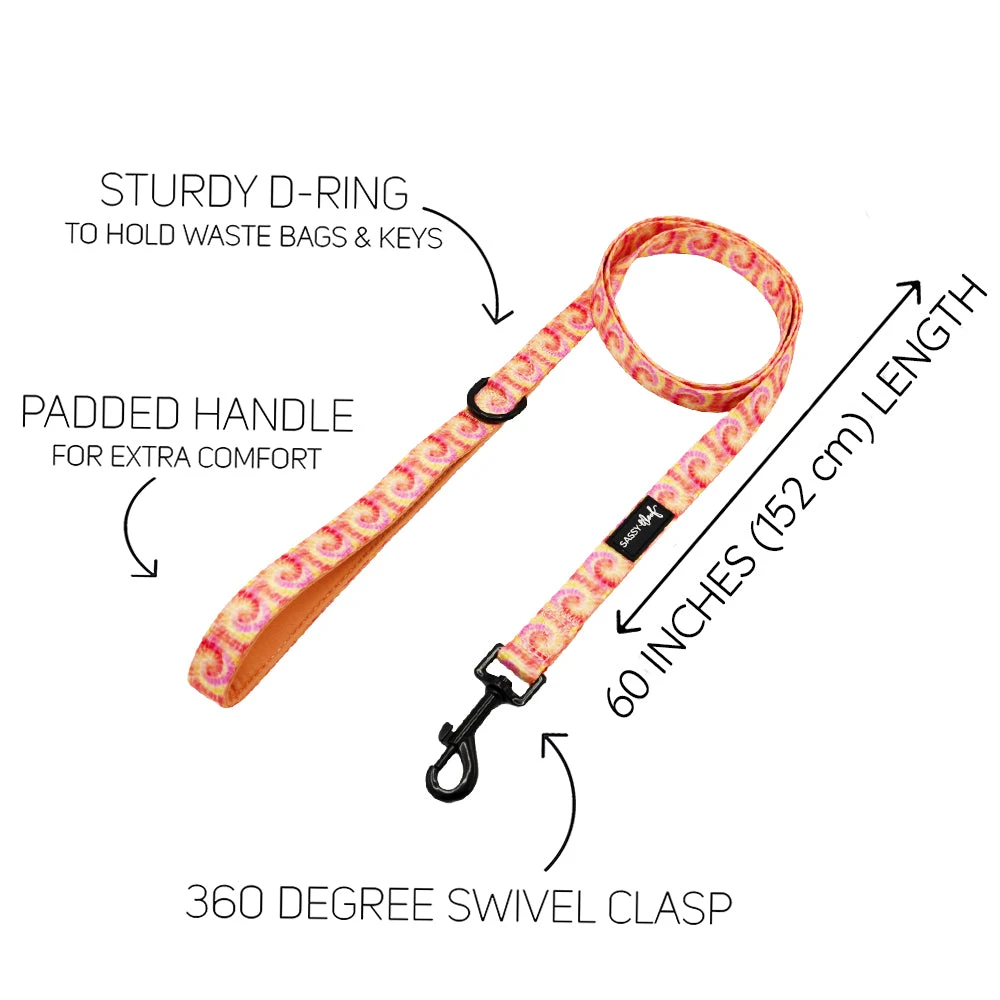 Dog Three Piece Bundle - Summer Sorbet 7 Dog Three Piece Bundle - Summer Sorbet - Image 5