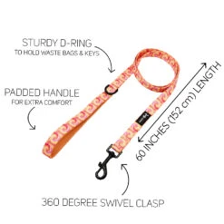 Dog Two Piece Bundle - Summer Sorbet -Furfinity Cheap Shop TIE DYE SUMMER SORBET LEASH GUIDE 2d6e3545 4356 477d 9ce5 d49d0fbf8f56