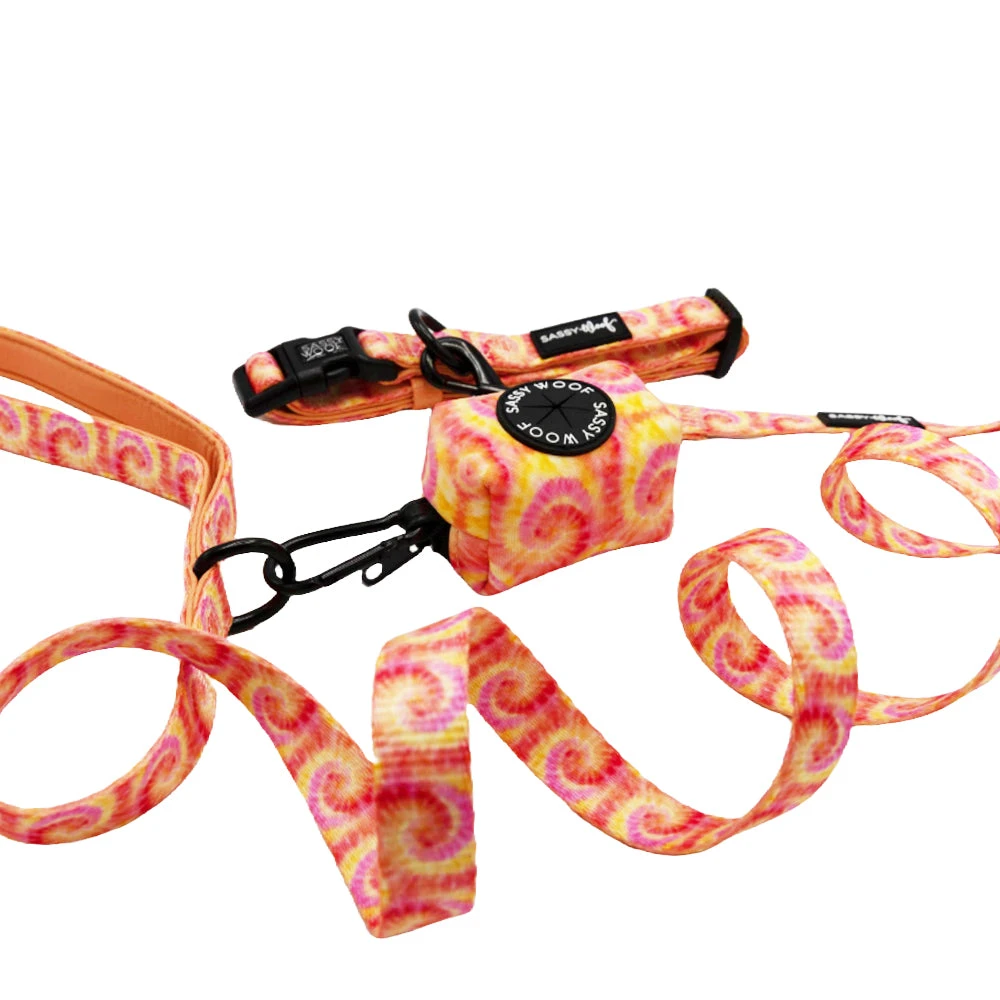 Dog Three Piece Bundle - Summer Sorbet 4 Dog Three Piece Bundle - Summer Sorbet - Image 2