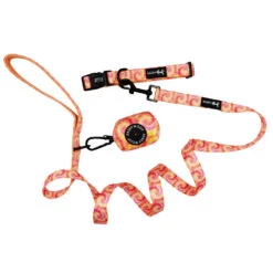 Dog Three Piece Bundle - Summer Sorbet