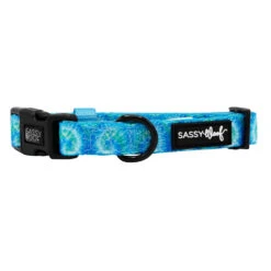 Dog Collar - Tropical Tides -Furfinity Cheap Shop TIE DYE TROPICAL TIDES COLLAR