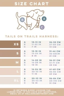 Dog Step-in Harness - Sage -Furfinity Cheap Shop Tailsontrailz 7b564681 4fef 4b59 aacc 00f3aa3b13e0