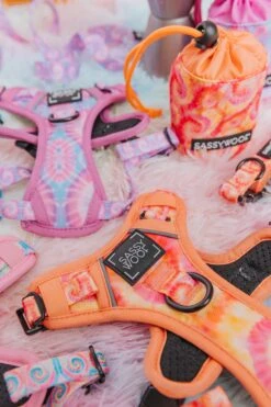 Dog Two Piece Bundle - Summer Sorbet -Furfinity Cheap Shop TieDyeIndv 3 da2c7f32 0b13 44e2 8869 9048d0aa21af