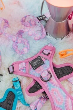 Dog Four Piece Bundle - Purple Haze -Furfinity Cheap Shop TieDyeIndv 4