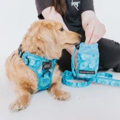 Dog Treat Pouch - Tropical Tides -Furfinity Cheap Shop TropicalTides TreatPouch ModelImages 2