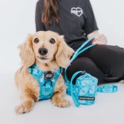 Dog Treat Pouch - Tropical Tides -Furfinity Cheap Shop TropicalTides TreatPouch ModelImages