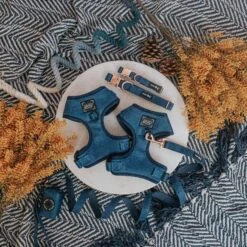 Dog Four Piece Bundle - Twilight -Furfinity Cheap Shop Twilight Dog Collection 1