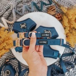 Dog Collar - Twilight -Furfinity Cheap Shop Twilight Dog Collection 4