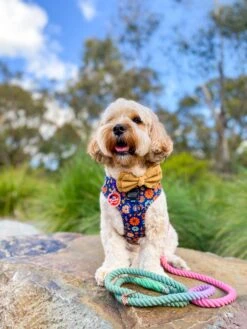 Dog Rope Leash - Unicorn -Furfinity Cheap Shop UnicornRL