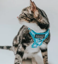 Cat Step-In Harness - Purrs & Petals -Furfinity Cheap Shop Untitled 1 5b327490 2ad7 4e48 a74c a0b06003bc51