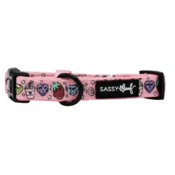 Dog Collar - I Chews You -Furfinity Cheap Shop VALENTINES ICHEWSYOU COLLAR 2