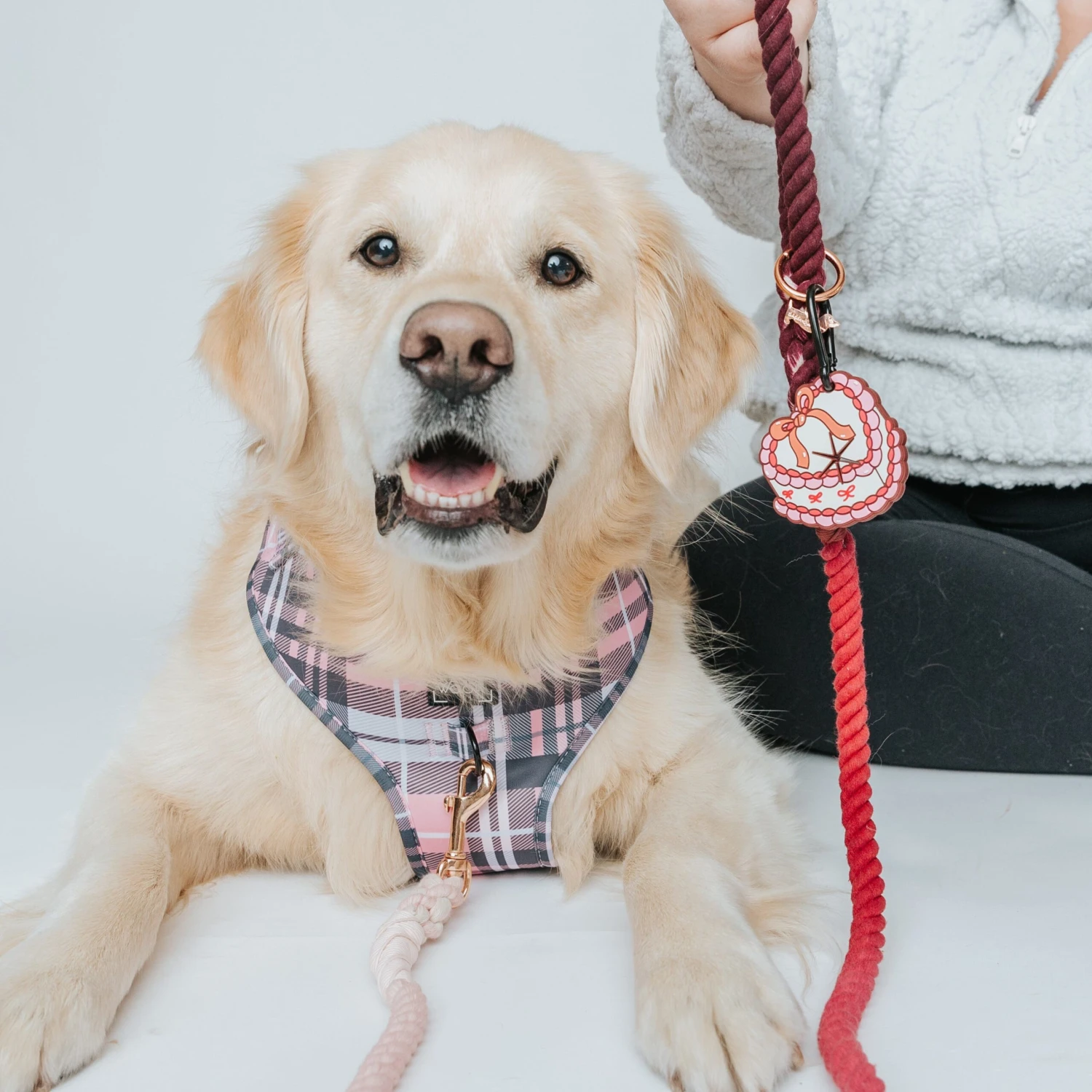 Potty Pal - Sweet Treats 7 Potty Pal - Sweet Treats - Image 5