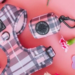 Dog Waste Bag Holder - Pawberry 12 Dog Waste Bag Holder - Pawberry -Furfinity Cheap Shop Valentine sDay ProductImage 11