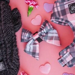 Dog Sailor Bow - Pawberry -Furfinity Cheap Shop Valentine sDay ProductImage 12