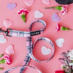 Dog Two Piece Bundle - Pawberry -Furfinity Cheap Shop Valentine sDay ProductImage 15 bed99ff7 aaca 467d 8740 8d4c942382af