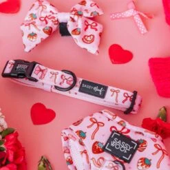 Dog Collar - Sweet Treats 15 Dog Collar - Sweet Treats -Furfinity Cheap Shop Valentine sDay ProductImage 18