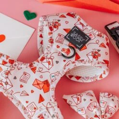 Dog Four Piece Bundle - P.S. I Woof You -Furfinity Cheap Shop Valentine sDay ProductImage 9