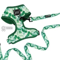 Dog Two Piece Bundle -Verano