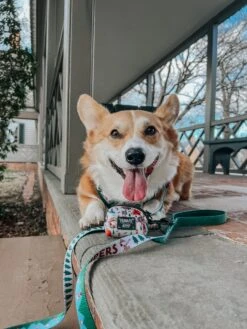 Dog Waste Bag Holder - Peanuts™ Beagle Scouts -Furfinity Cheap Shop WAFFLE THE WIGGLEBUTT 1 d21753cc 6e37 4a14 8086 35bfe0051049