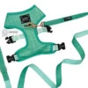 Dog Two Piece Bundle - Wag Your Teal -Furfinity Cheap Shop WAG YOUR TEAL TWO PIECE