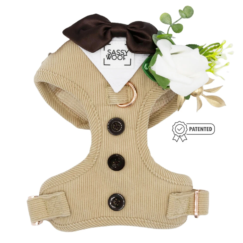 Dog Four Piece Bundle - Best Pup 4 Dog Four Piece Bundle - Best Pup - Image 2