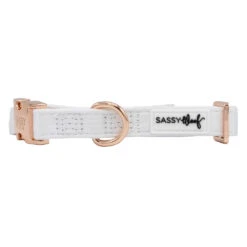 Dog Collar - Pup Of Honor -Furfinity Cheap Shop WEDDING WHITE COLLAR