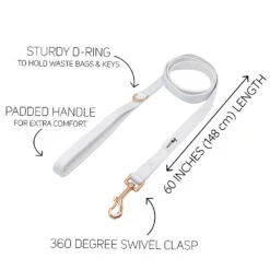 Dog Four Piece Bundle - Pup Of Honor -Furfinity Cheap Shop WEDDING WHITE LEASH GUIDE