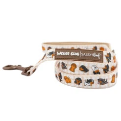 Dog Four Piece Bundle - Weens Club -Furfinity Cheap Shop WEENS CLUB LEASH