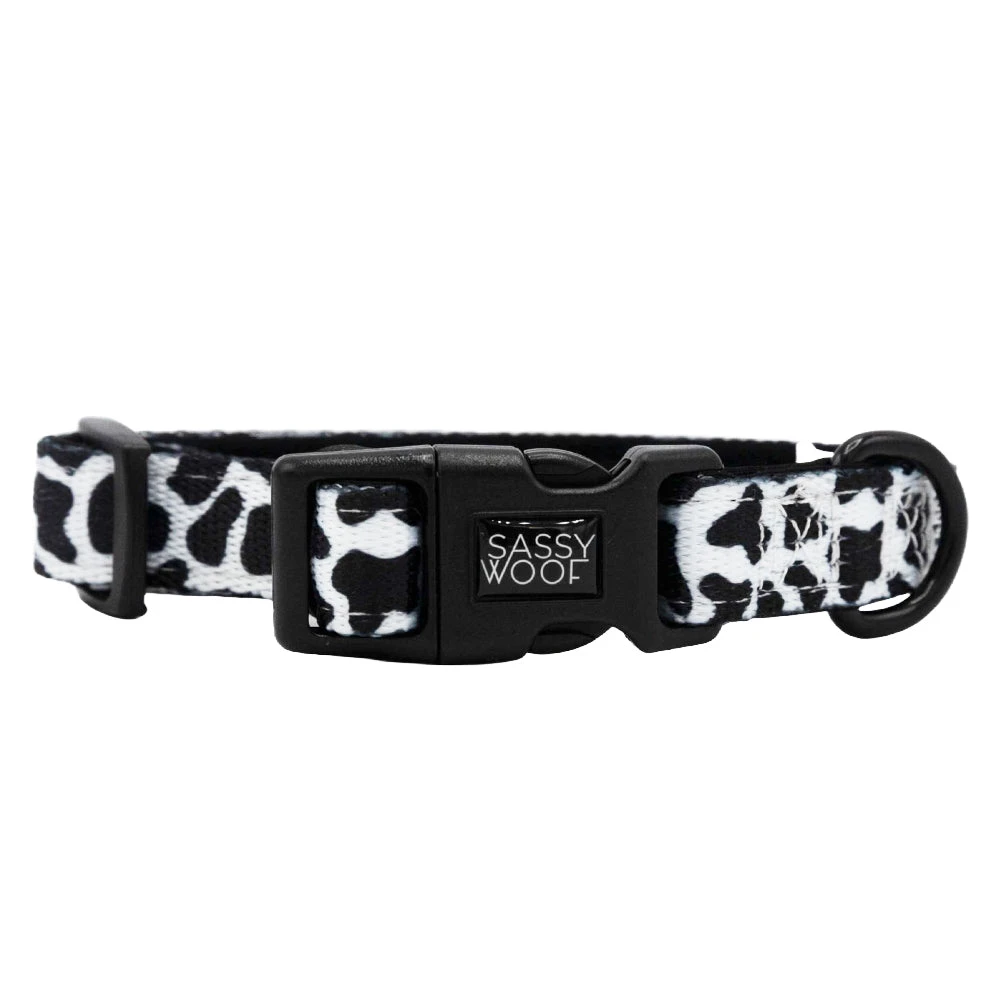 Dog Collar - Whole Milk 5 Dog Collar - Whole Milk - Image 3