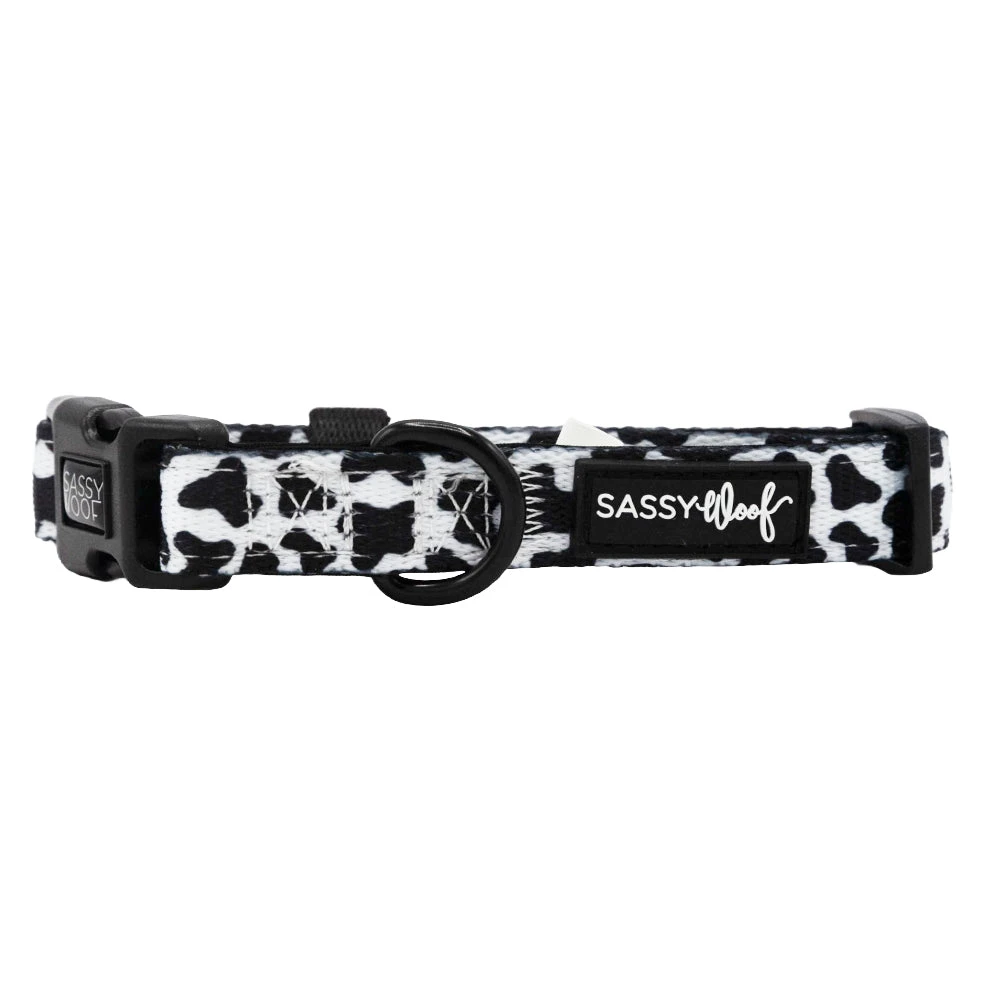 Dog Collar - Whole Milk 4 Dog Collar - Whole Milk - Image 2