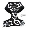 Dog Adjustable Harness - Whole Milk -Furfinity Cheap Shop WHOLE MILK HARNESS PATENTED e35e6d2a 016c 4bba af11 b64aa5d35c8b