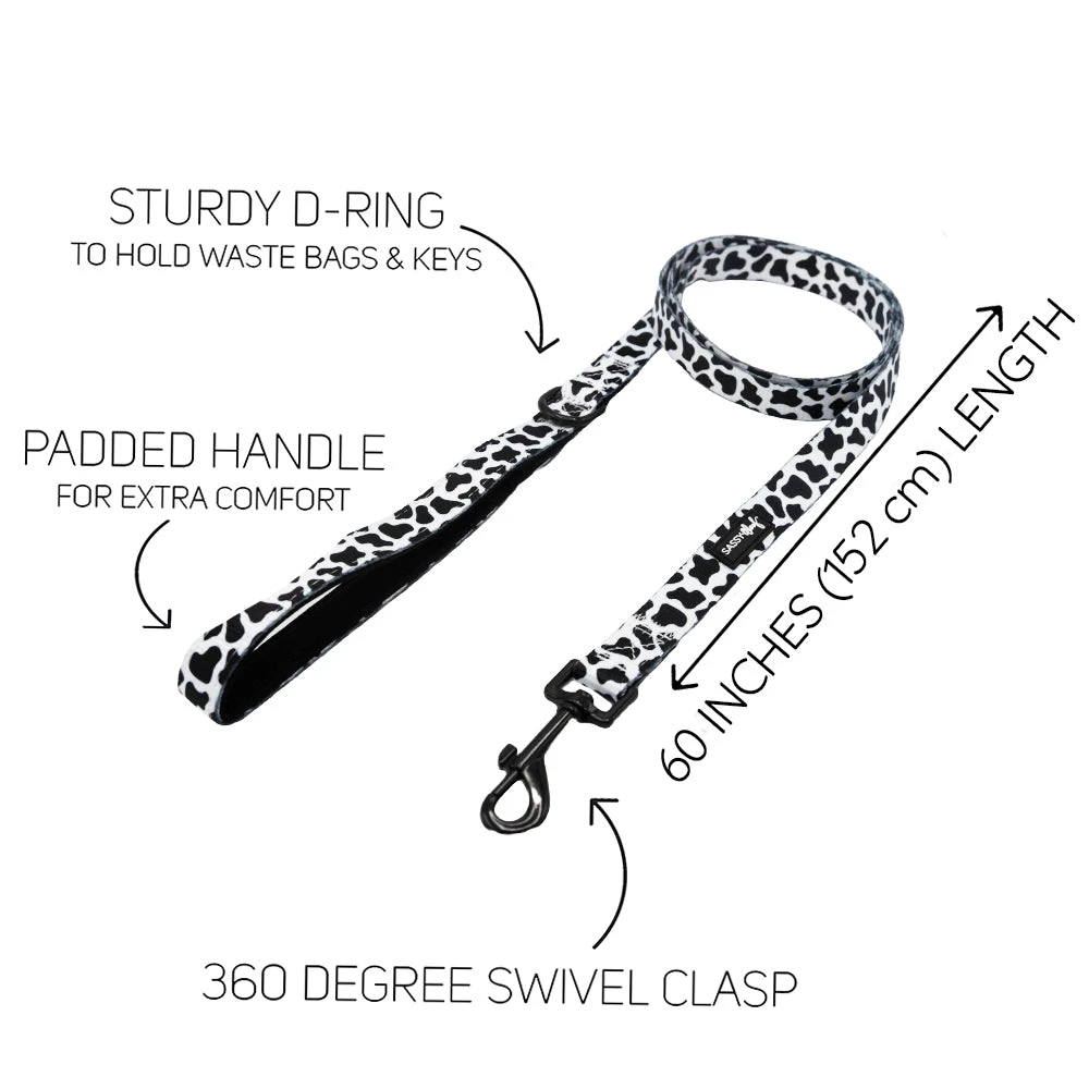 Dog Leash - Whole Milk 5 Dog Leash - Whole Milk - Image 3