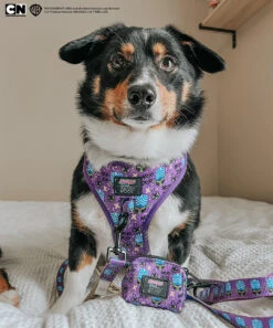 Dog Waste Bag Holder - Mojo Jojo™ -Furfinity Cheap Shop WINNIETHE AUGGIE 2 dfe465c7 c2da 4ddf be2d b63bb7415676