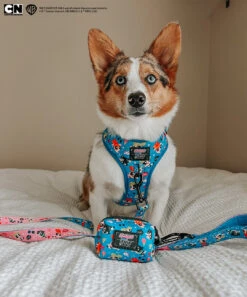 Dog Waste Bag Holder - The Powerpuff Girls™ (Blue) -Furfinity Cheap Shop WINNIETHE AUGGIE 3 06bd0240 f362 4d1d 8226 83c383dfb891