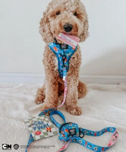 Dog Waste Bag Holder - The Powerpuff Girls™ (Blue) -Furfinity Cheap Shop WINNIE GOLDIEDOODLE 1 de5396f8 bd39 4e72 8dea 84f930c9be7b