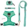 Dog Four Piece Bundle - Wag Your Teal -Furfinity Cheap Shop WYTBundle